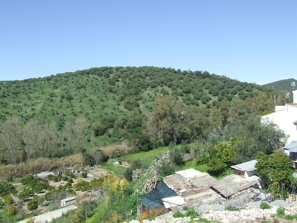 Apartment Los Arcos El Bosque